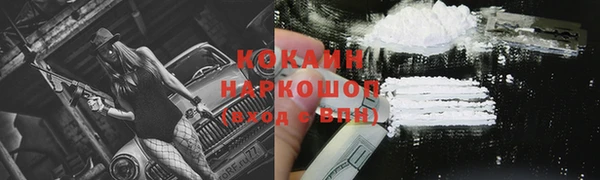 сатива Осташков
