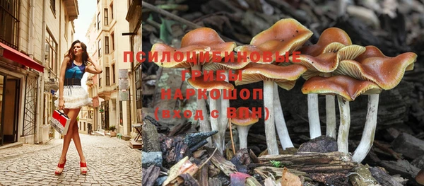 бутират Армянск