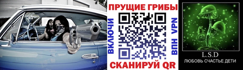 Псилоцибиновые грибы мухоморы  магазин    Мытищи 