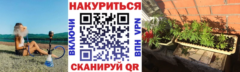 где купить наркоту  Мытищи  Конопля конопля 